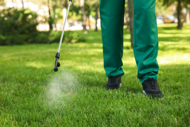 Best Best Pest Control Near Me  in West Hill, OH