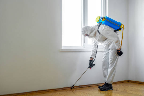 Best Exterminator Services  in West Hill, OH