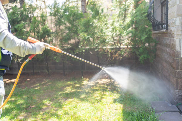 Best Pest Inspection Near Me  in West Hill, OH
